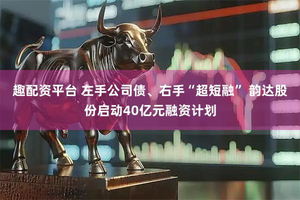 趣配资平台 左手公司债、右手“超短融” 韵达股份启动40亿元融资计划