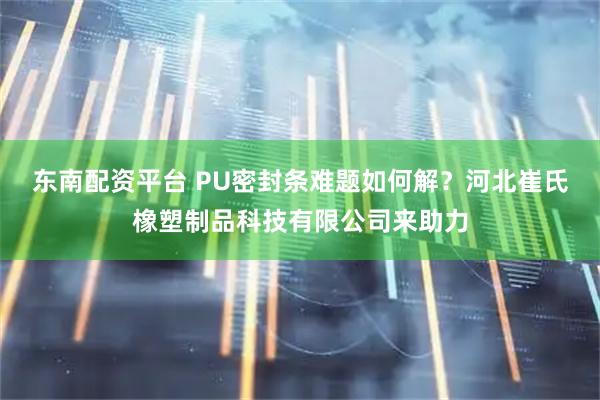 东南配资平台 PU密封条难题如何解？河北崔氏橡塑制品科技有限公司来助力