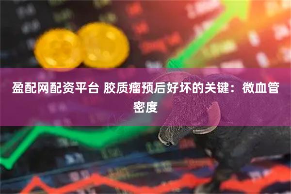 盈配网配资平台 胶质瘤预后好坏的关键：微血管密度